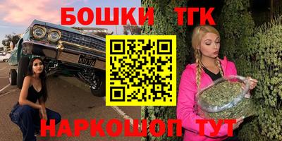 СК Донской