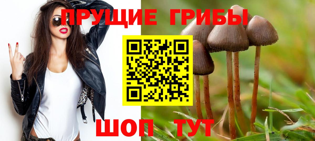 Псилоцибиновые грибы мицелий Майский