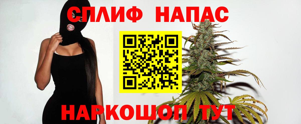 Конопля сатива Майский